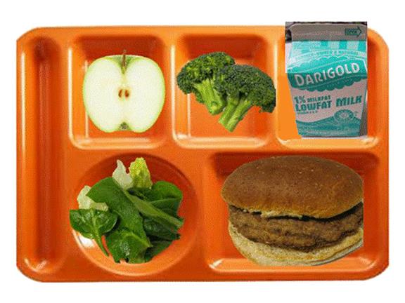 Complete Meal - tray with apple, broccoli, milk, salad and chicken burger. 